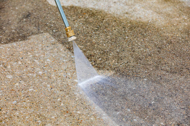Best Boat and Dock Cleaning  in Atascocita, TX